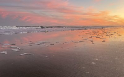 Jubilee Year & College Debt