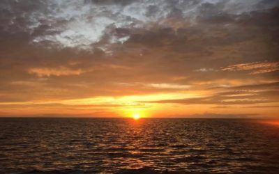 Why Sin Leads to Tyranny