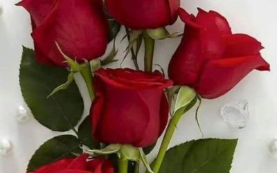 Sex: the World vs. the Bible