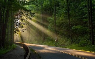 The Peaceful Christian Warrior