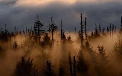 Rape & Vengeance Part 1