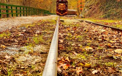 Living in God’s House