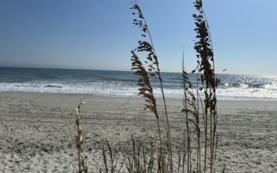 Flesh vs. The Spirit