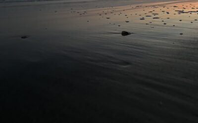 Deceit, Malice, Envy, Gossip or the Lord