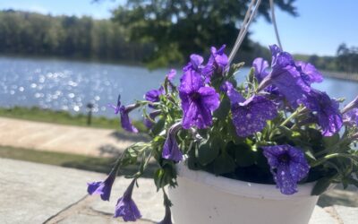 The Day of the Lord & Patience